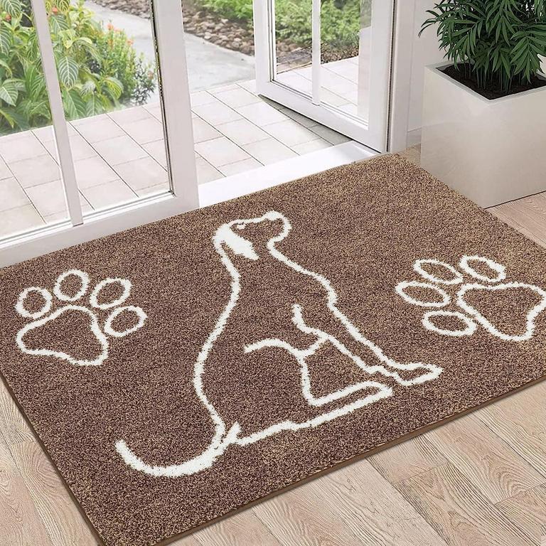 FINDOSOM 32IN X48IN DOORMAT