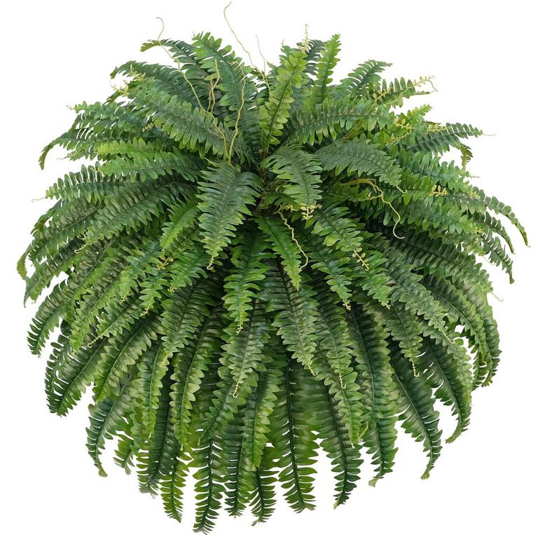 FOREST PRINCE 50IN FAUX FERN
