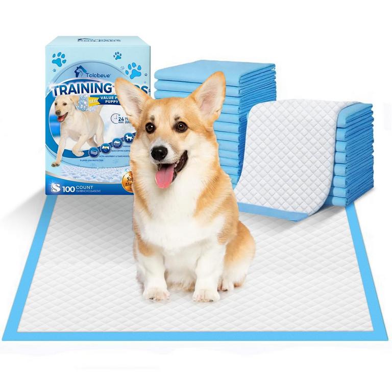 TOLOBEVE S TRAINING PADS 100PK