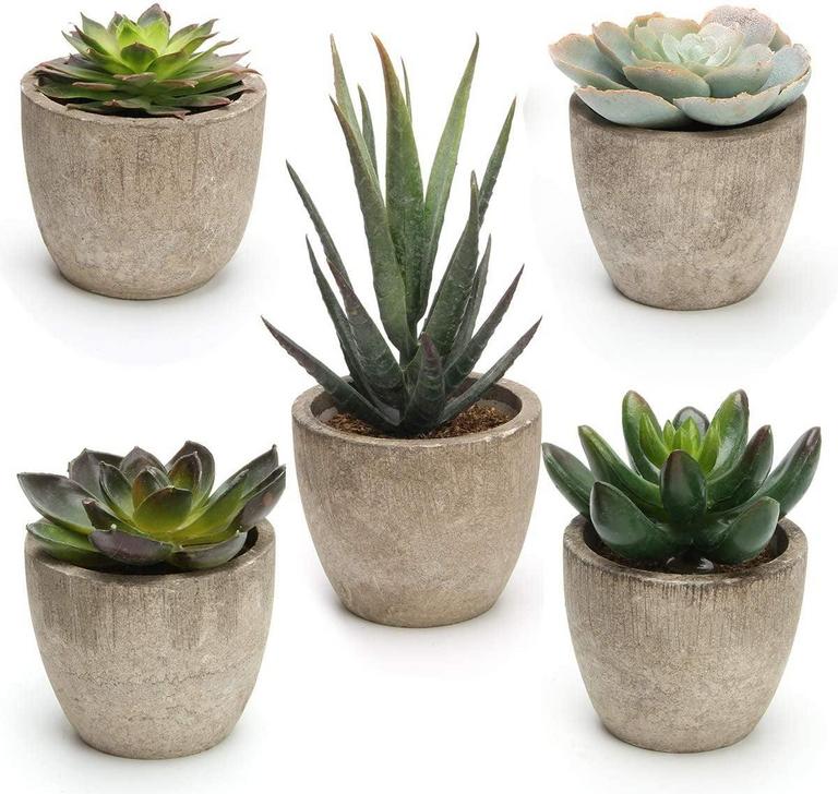 PLUTPUT 5CT FAUX SUCCULENTS