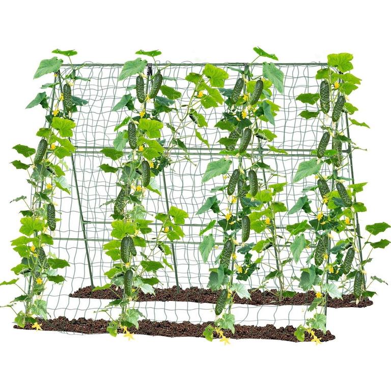 MQ GARDEN TRELLIS 47X51IN