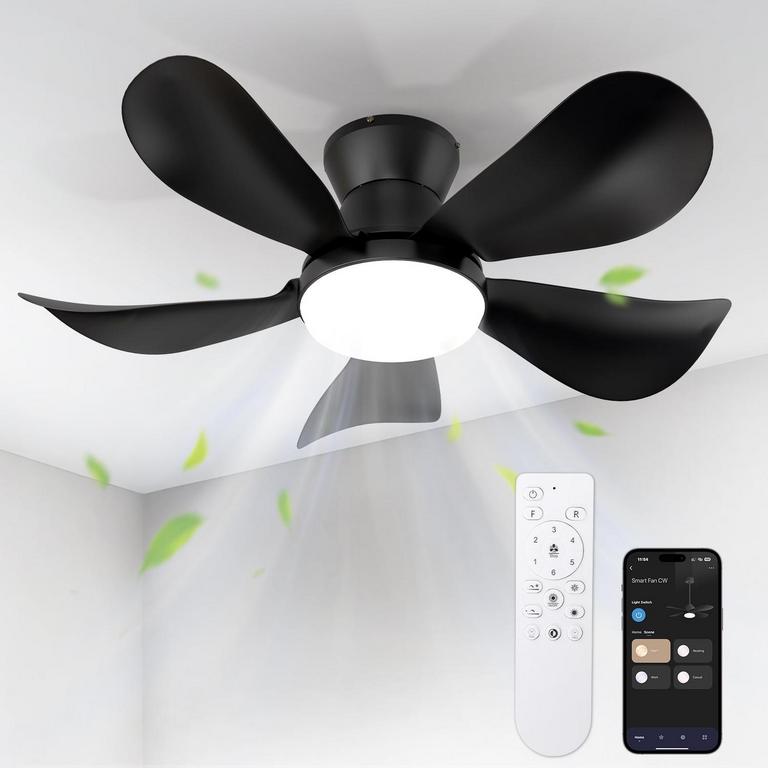 BLITZWILL 26IN CEILING FAN