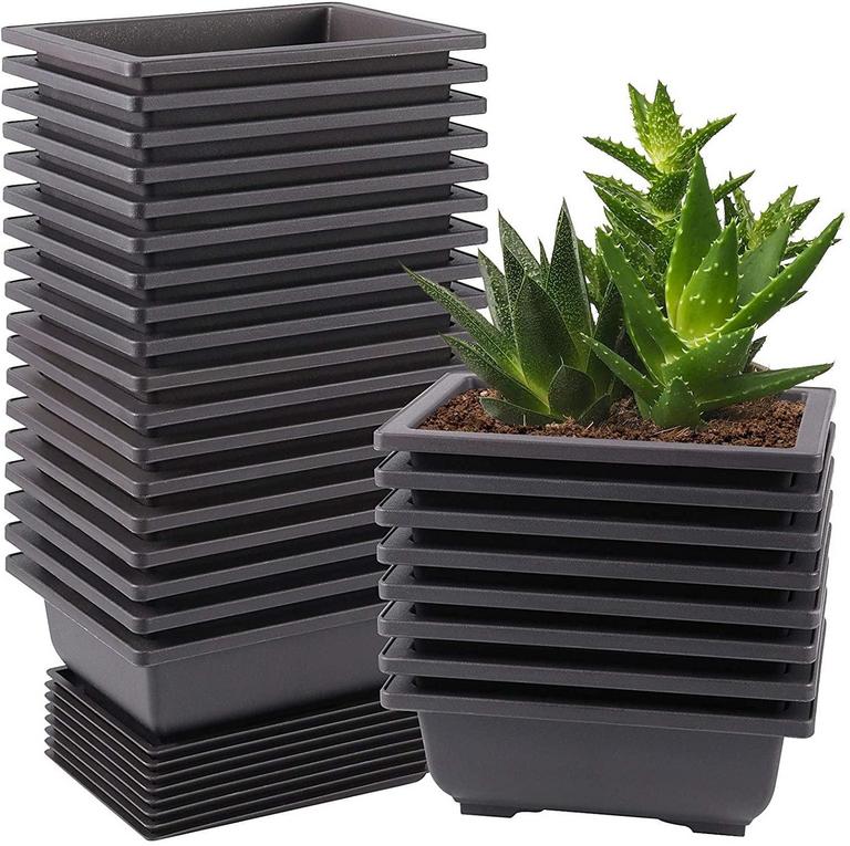 ZEONHAK 15PK POTS 6.5IN BLACK
