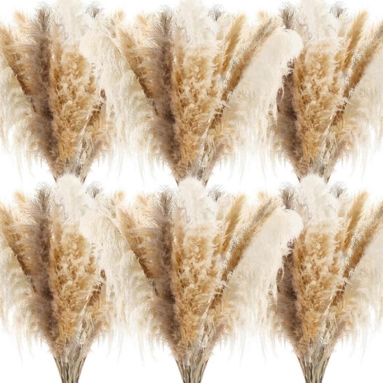 WAVWAVW 30PCS 46IN PAMPAS GRASS