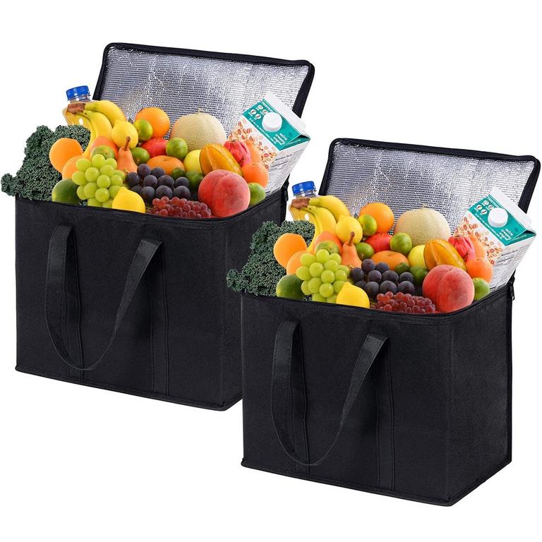 TRIPUMER 2PK INSULATED BAGS
