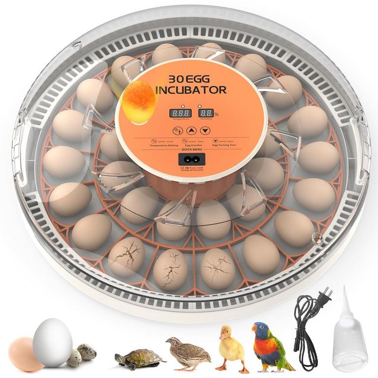 GENERIC 30-EGG INCUBATOR