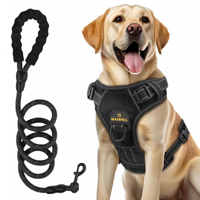 MASBRILL DOG HARNESS & LEASH L