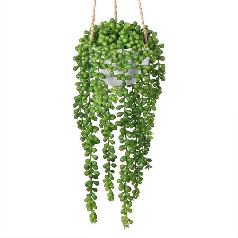 GNFLUS 14IN HANGING PLANT