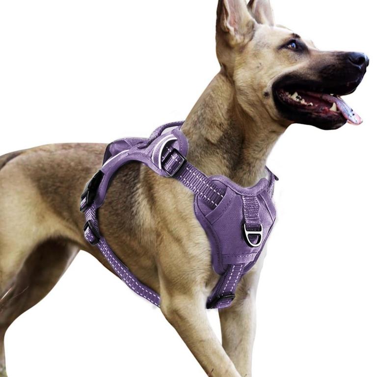 TUXTOOX NO PULL DOG HARNESS M