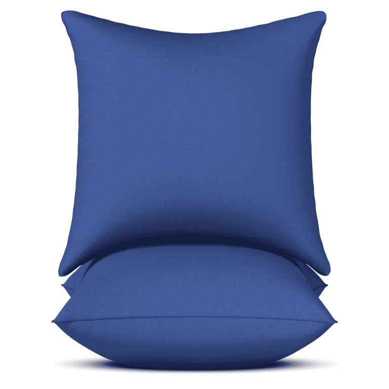 CSHIDWORLD THROW PILLOWS 18IN 2PK