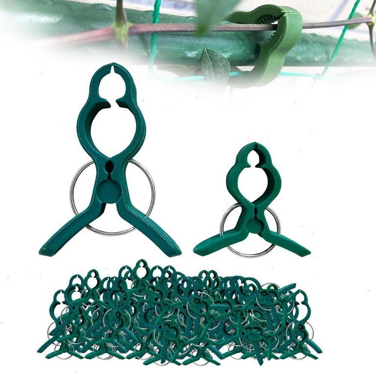 40PK PLANT CLIPS