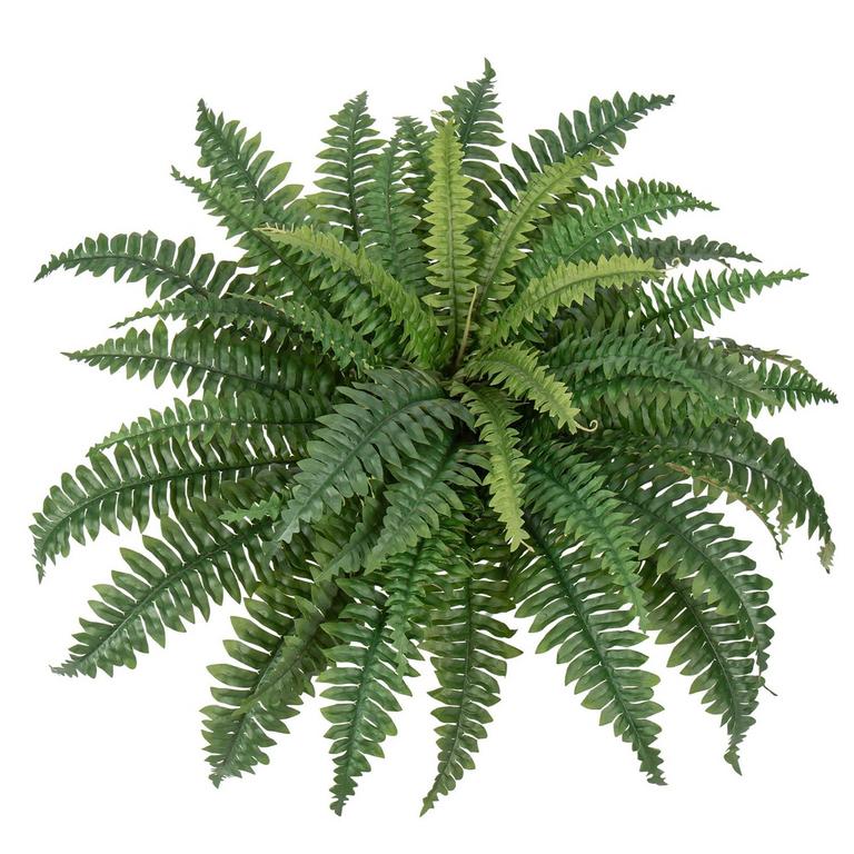 GNFLUS FAKE FERN 29.5 IN