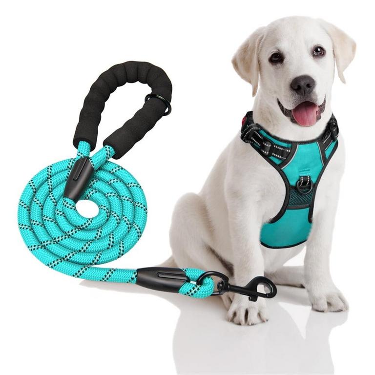 POYPET NO PULL DOG HARNESS & LEASH SM