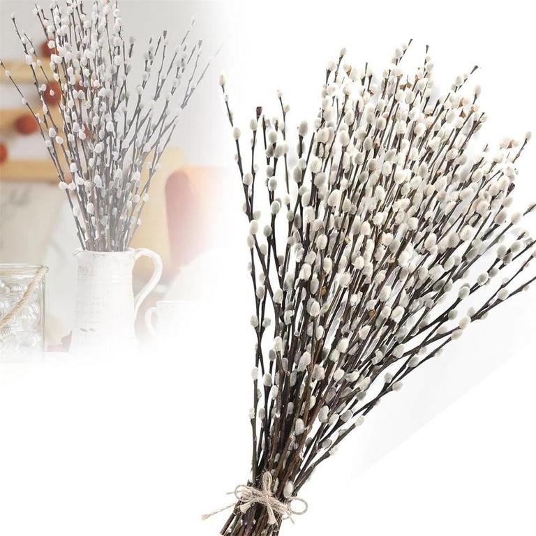GIXUSIL 16IN DRIED BRANCHES 40PC